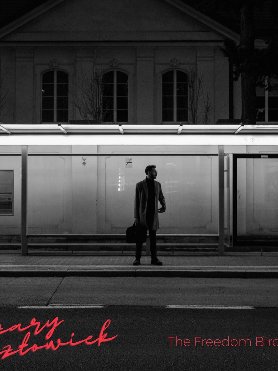 „Szary człowiek” – refleksje w muzyce The Freedom&nbsp;Birds