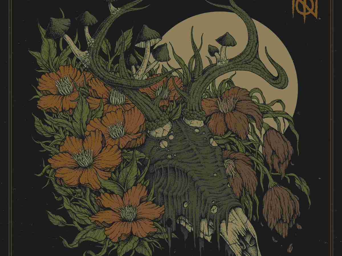 Toń album „Korzenie”