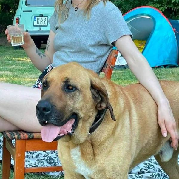 Odkryj „Marudę” – Nowy Album Mleczów Pełen&nbsp;Emocji