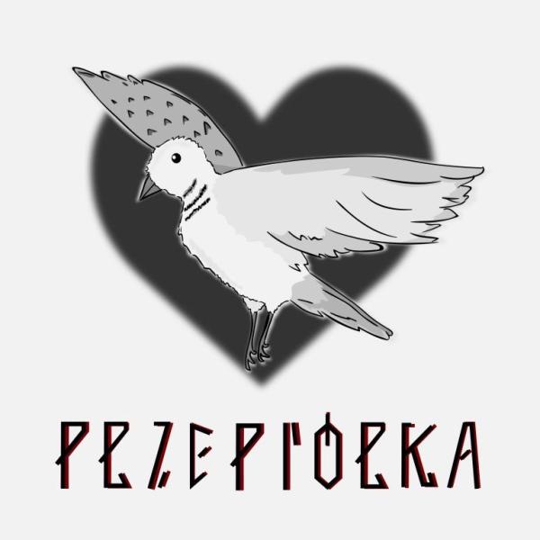 Kruczy Sen singiel „Przepiórka”: Miłosna Opowieść Kruka i&nbsp;Przepiórki